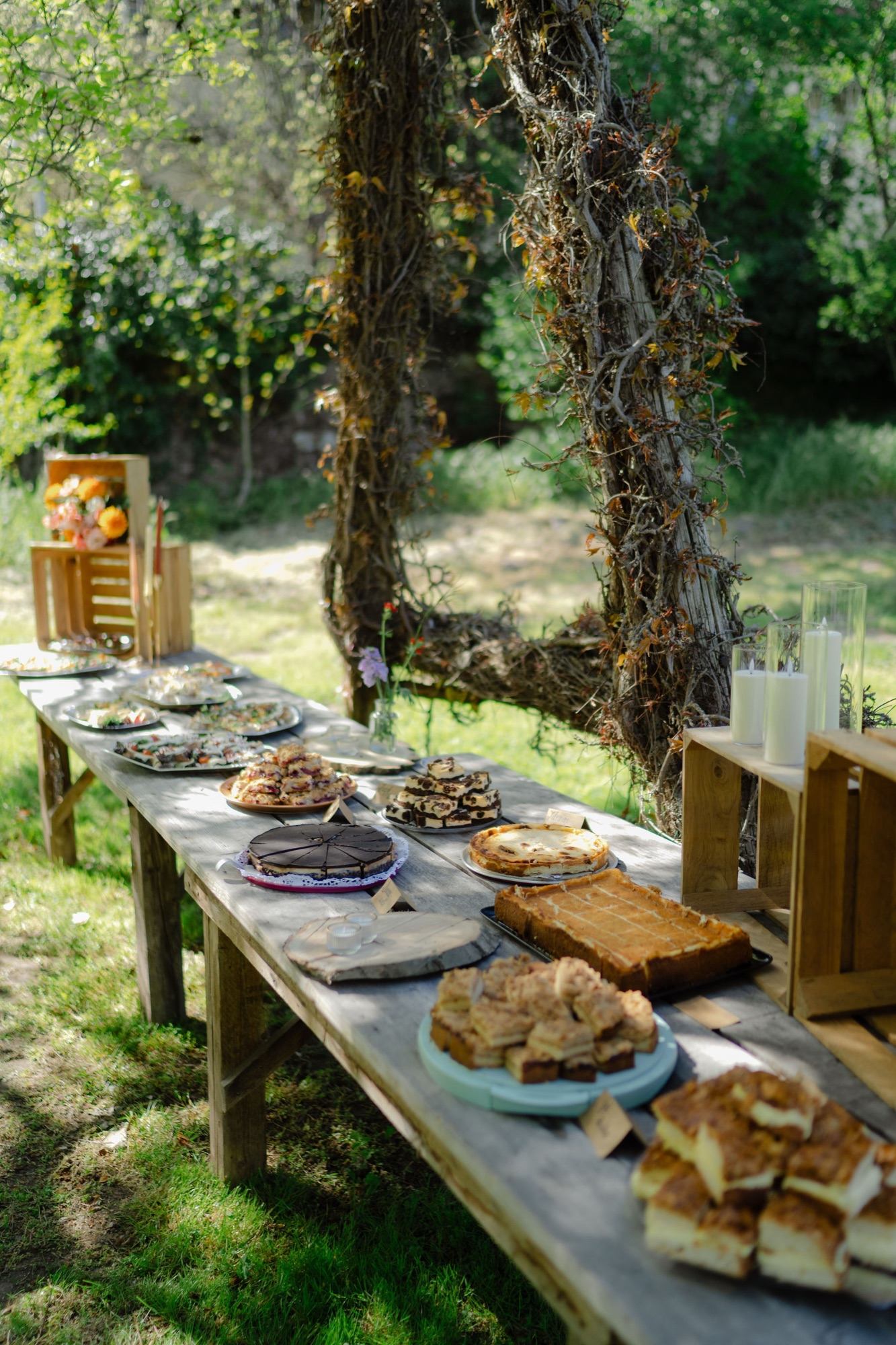 Kuchenbuffet unter der Weide